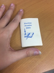 Teeeeeeny tiny book